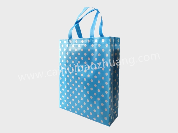 彩匯包裝  禮品手提袋   購物手提袋